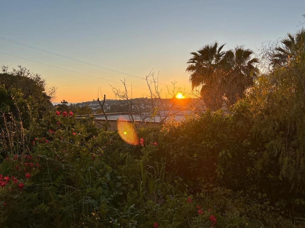 Casa Porto Palo Villa Eksteriør billede